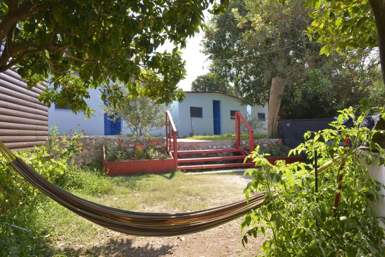 Glamping Rooms At The Sea Turtle Dhërmi Buitenkant foto