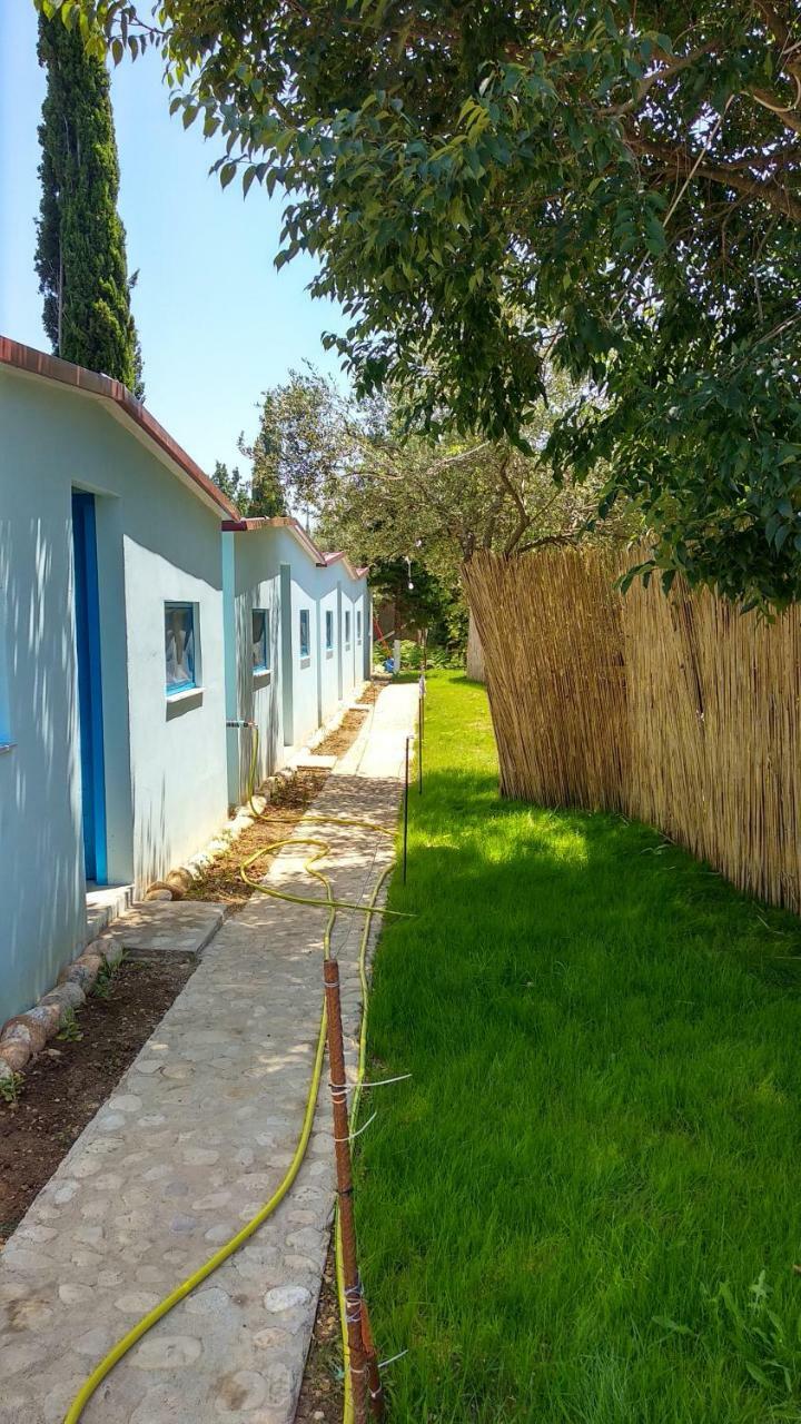 Glamping Rooms At The Sea Turtle Dhërmi Buitenkant foto